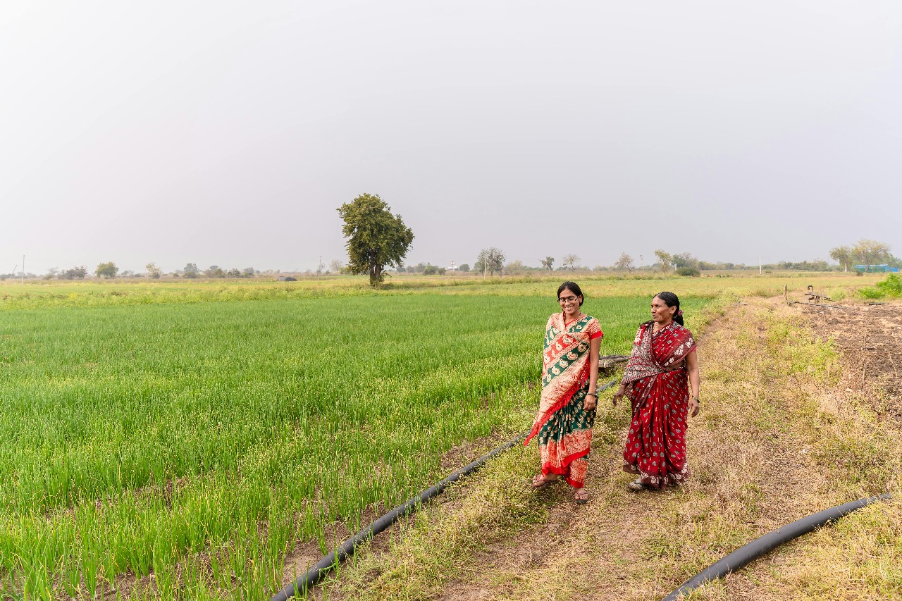 Quality You Can Measure. Consistency You Can Trust.