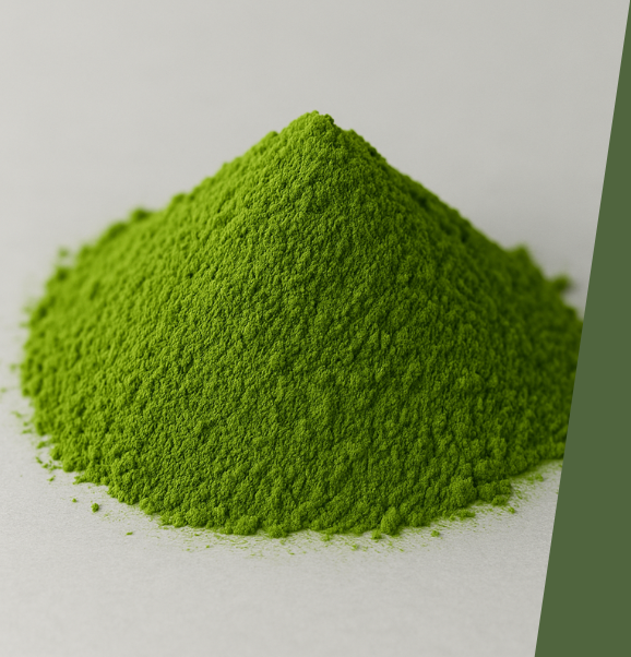 Vibrant green Moringa powder heap on clean white surface